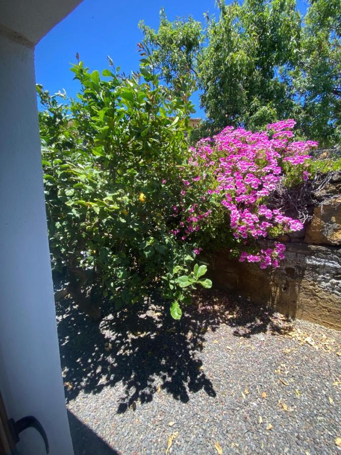 Vivienda Vacacional Casa Pancho Taibique Eksteriør bilde